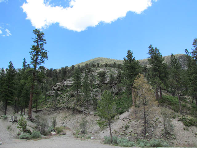 Mount Charleston